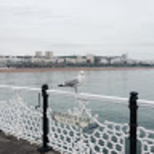 Meet your Posher, Katerina